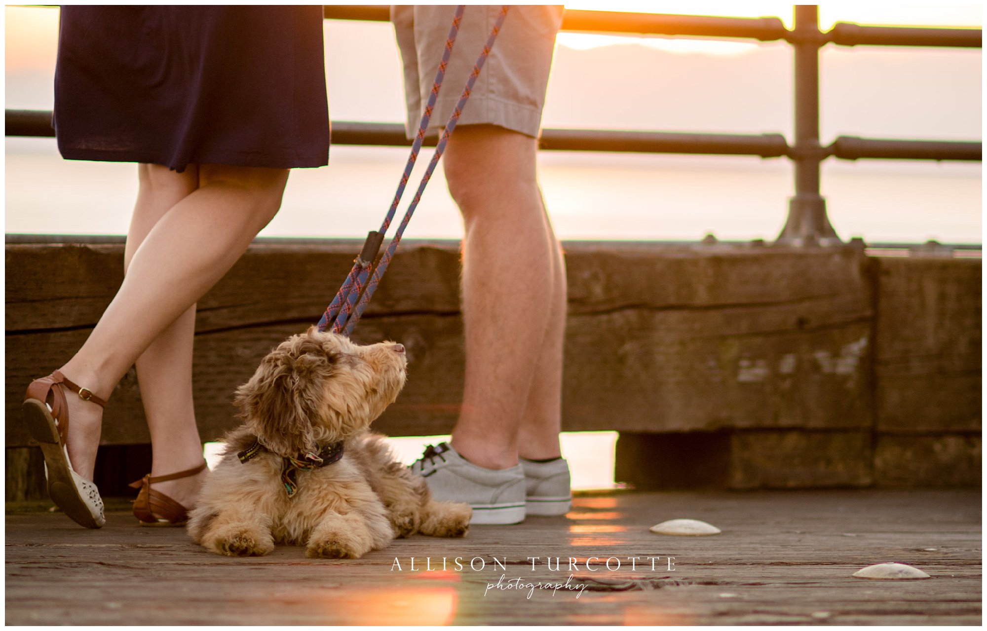 Seattle Couples Photography -- Seattle Photographer -- Puppy