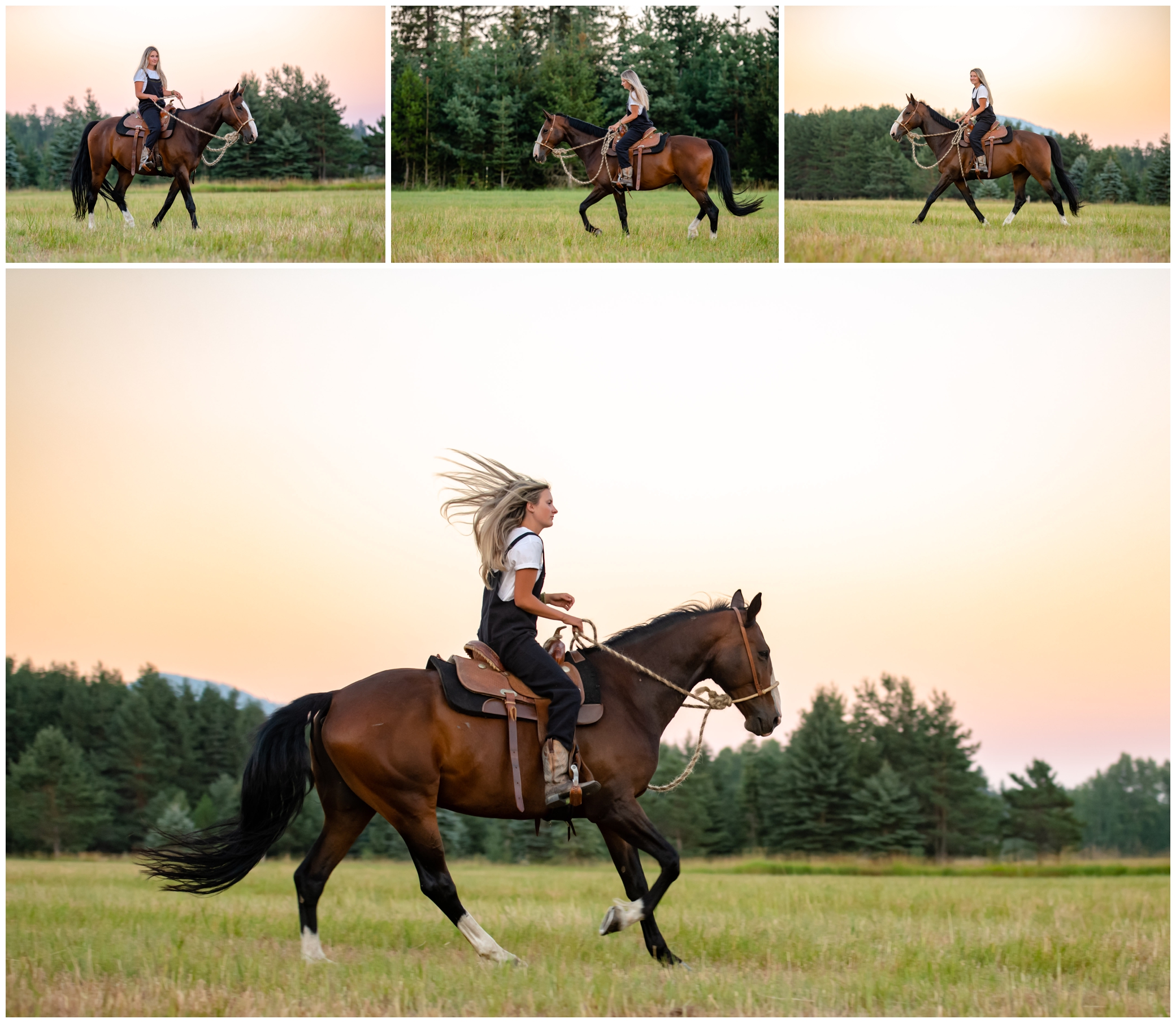 Cantering at Sunset in Sandpoint