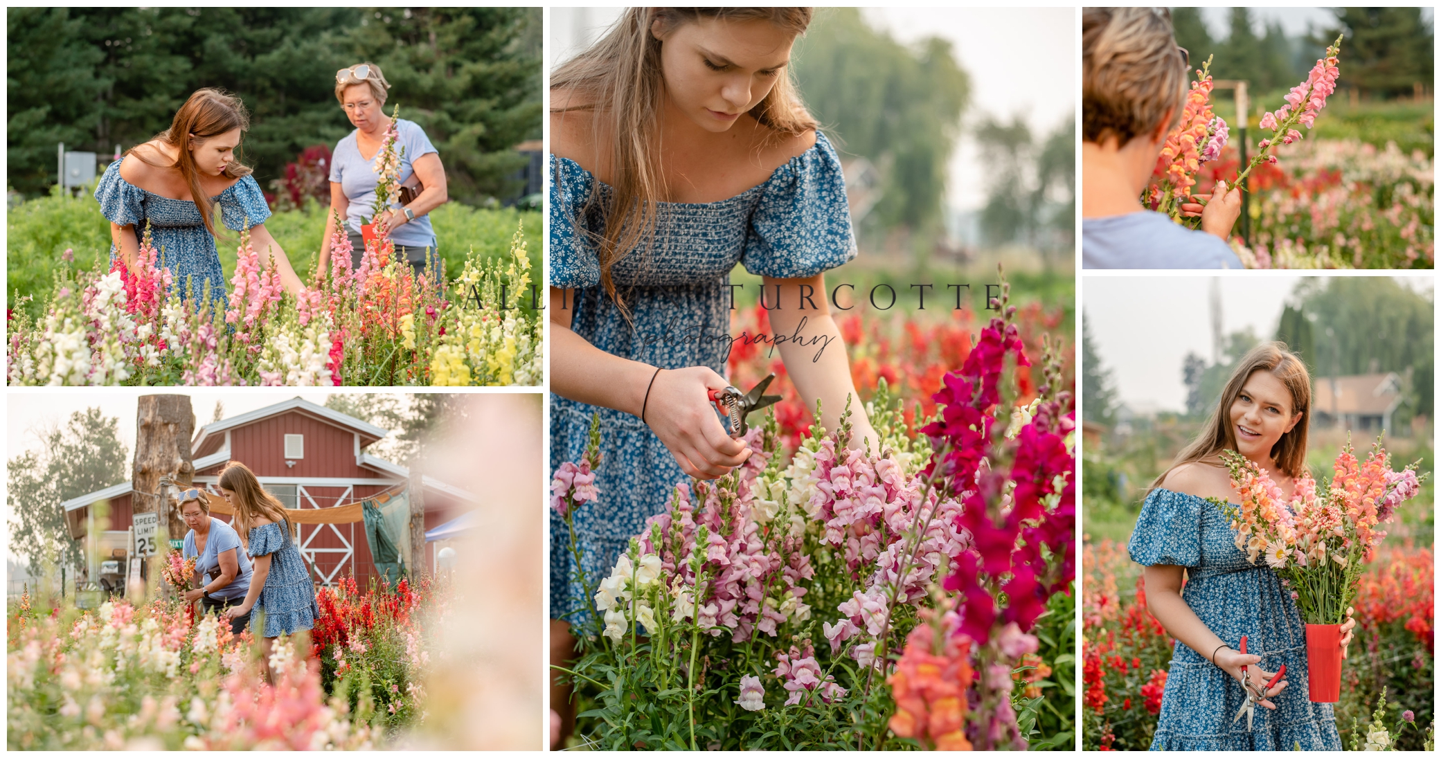 bride picking her flowers at a local flower farm